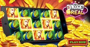 Live casino table style interface for adult wilsoni365 users